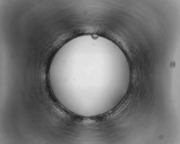 X0000098050257200804181331