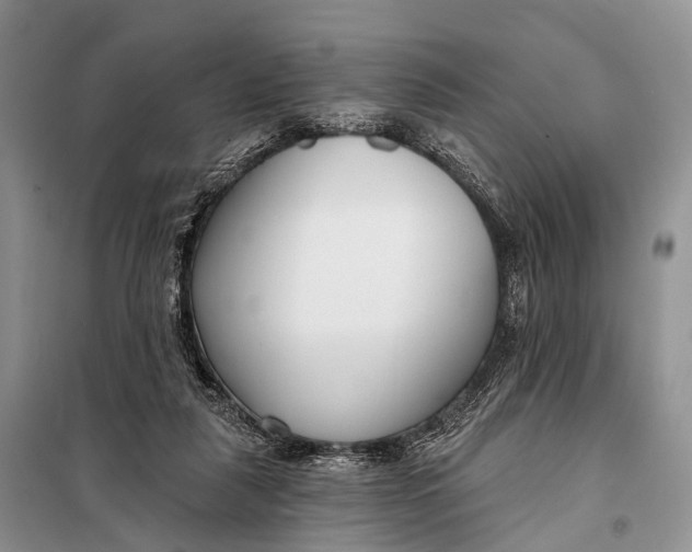 X0000098050259200804181331