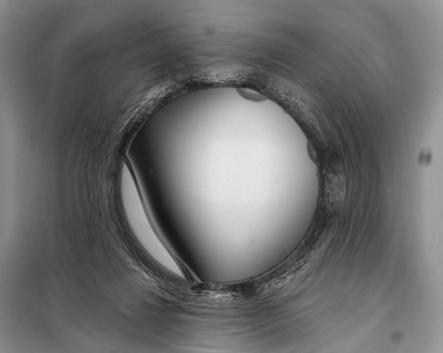 X0000098050260200804181331