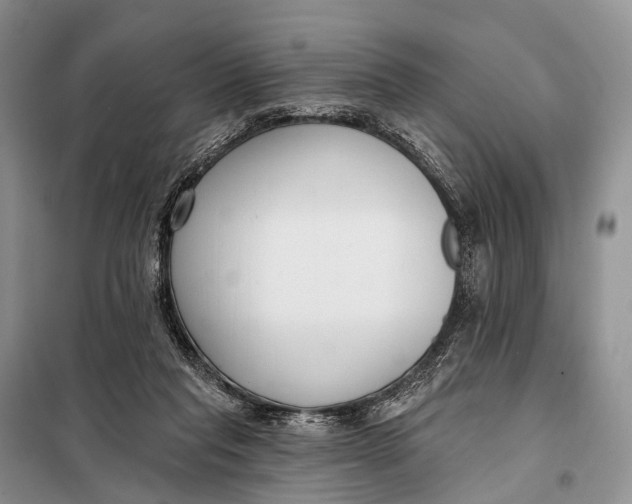 X0000098050261200804181331