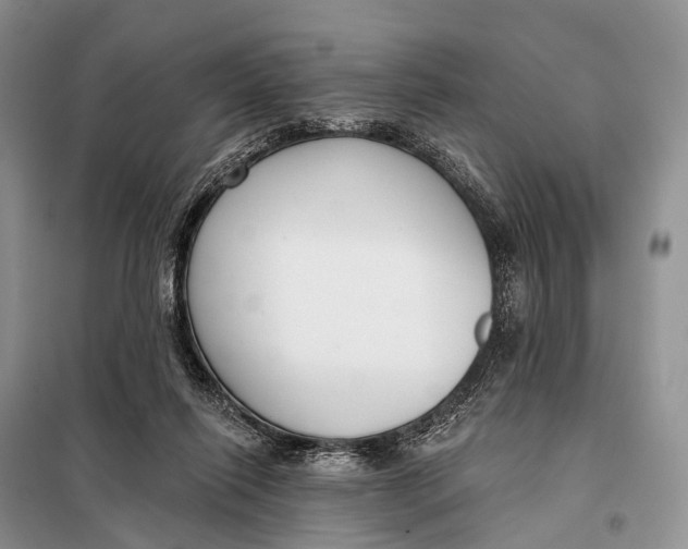 X0000098050262200804181331