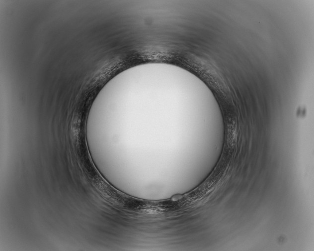 X0000098050263200804181331