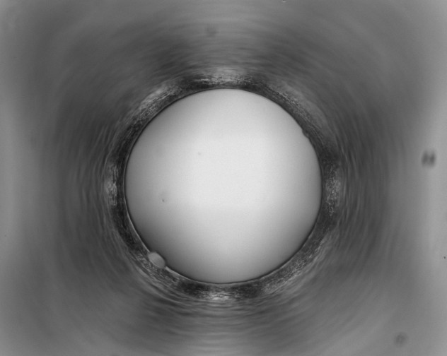 X0000098050264200804181331