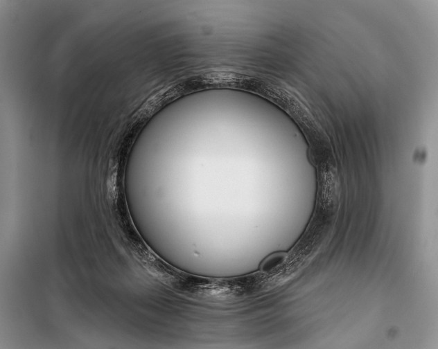 X0000098050267200804181331