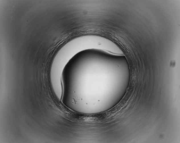 X0000098050268200804181331