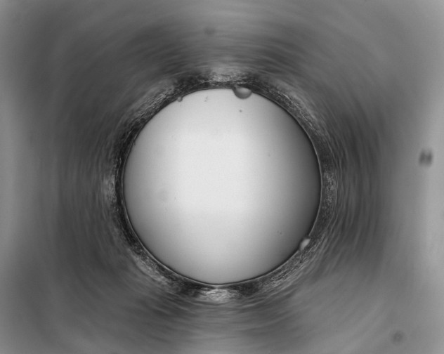 X0000098050269200804181331