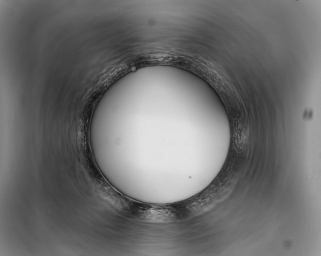 X0000098050270200804181331