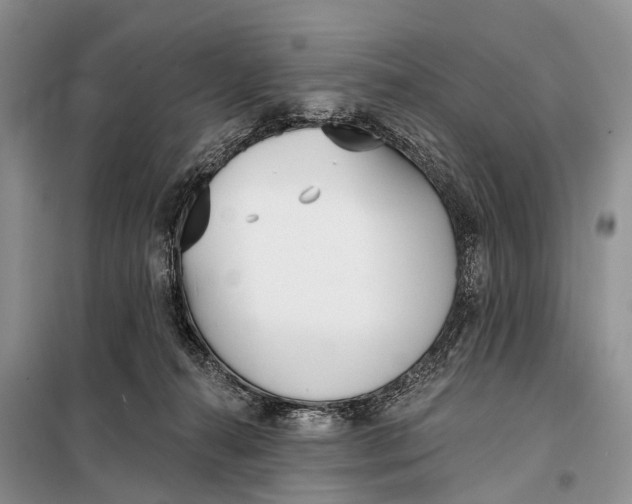 X0000098050272200804181332