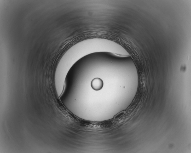 X0000098050276200804181332