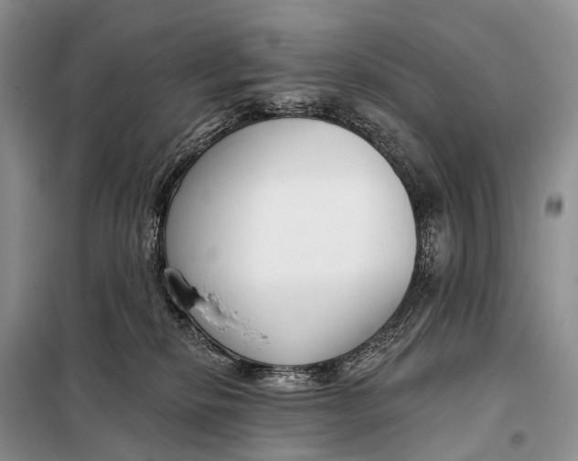 X0000098050278200804181332