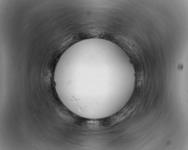 X0000098050279200804181332