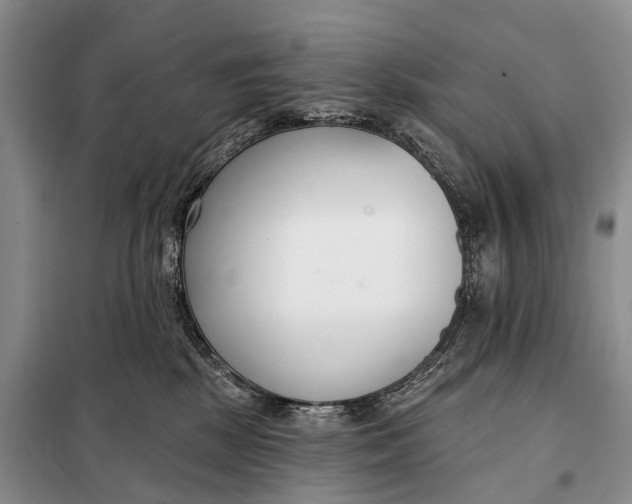 X0000098050281200804181332