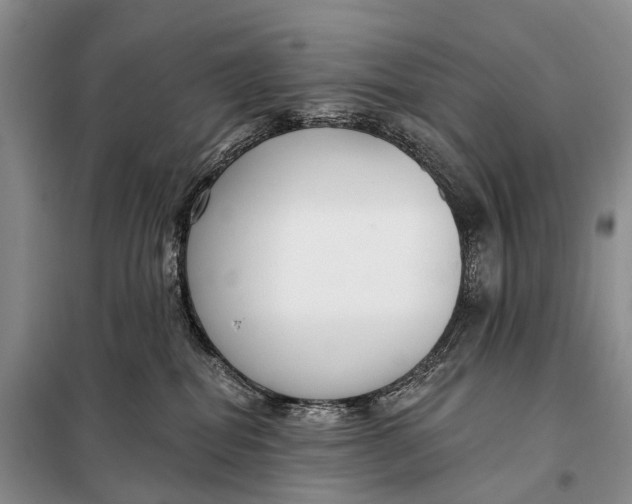 X0000098050282200804181332