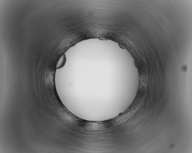 X0000098050286200804181332