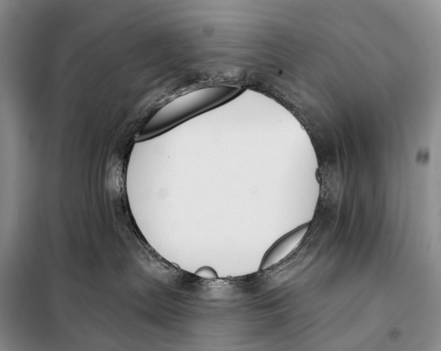 X0000098050287200804181332