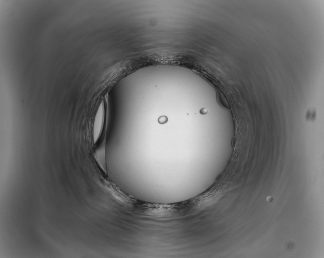 X0000098050288200804181332