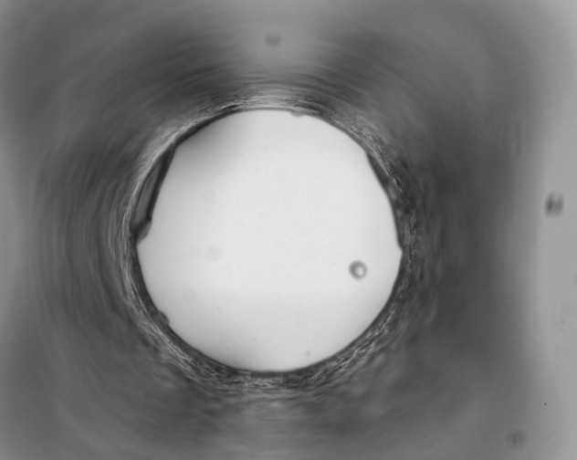 X0000098050289200804181331