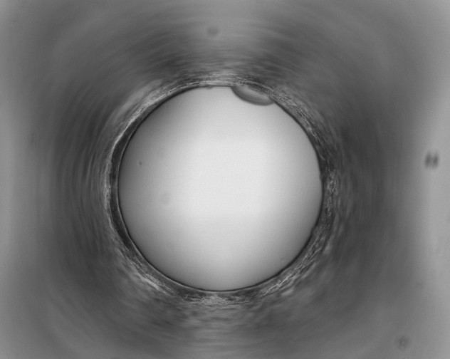 X0000098050290200804181331