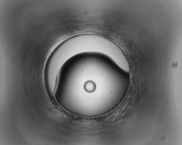 X0000098050292200804181331