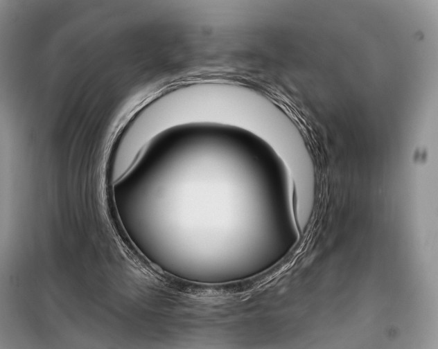 X0000098050293200804181331