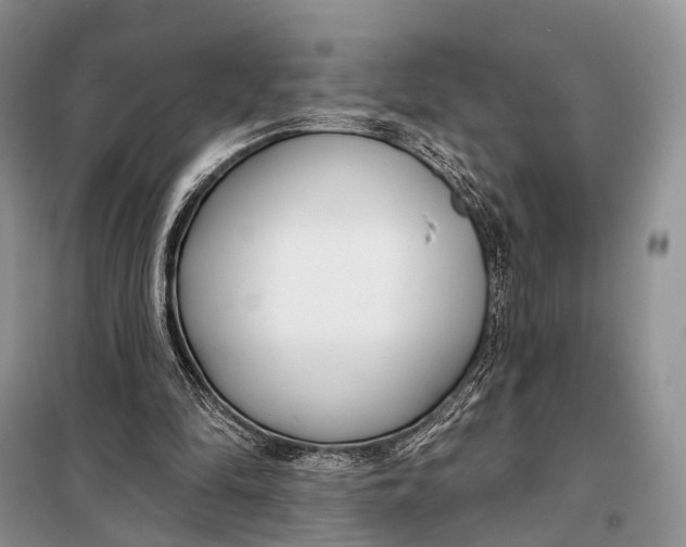 X0000098050294200804181331