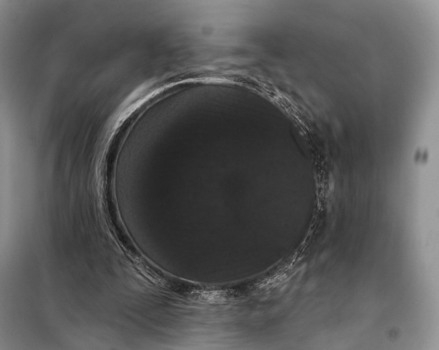 X0000098050295200804181331