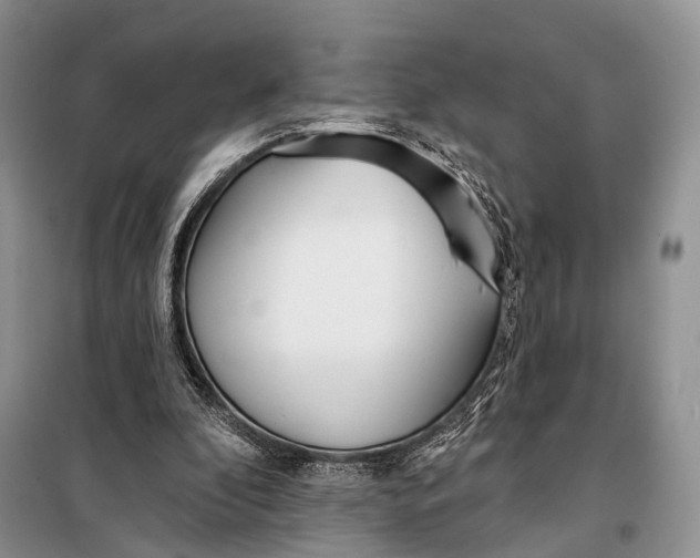 X0000098050296200804181331