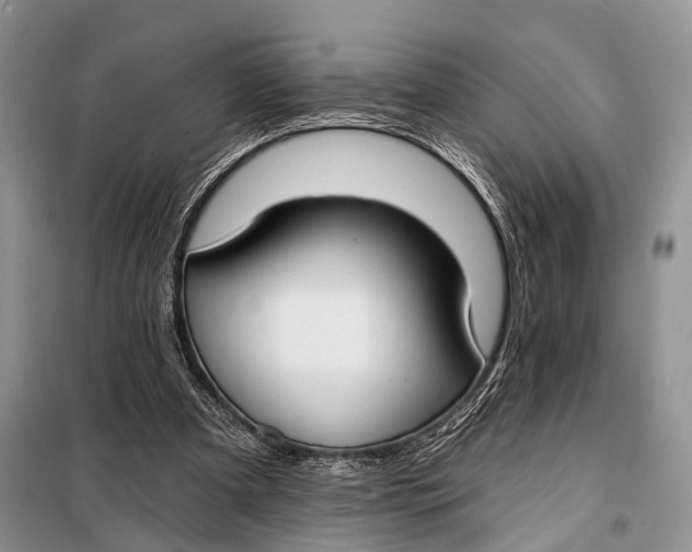 X0000098050297200804181331