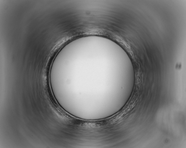 X0000098050298200804181331