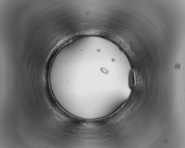 X0000098050300200804181331