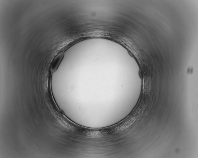 X0000098050301200804181331