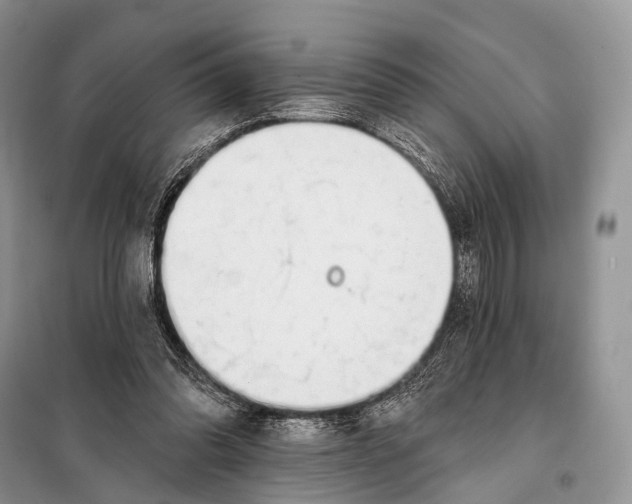 X0000098050302200804181331