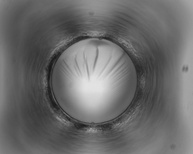 X0000098050303200804181331