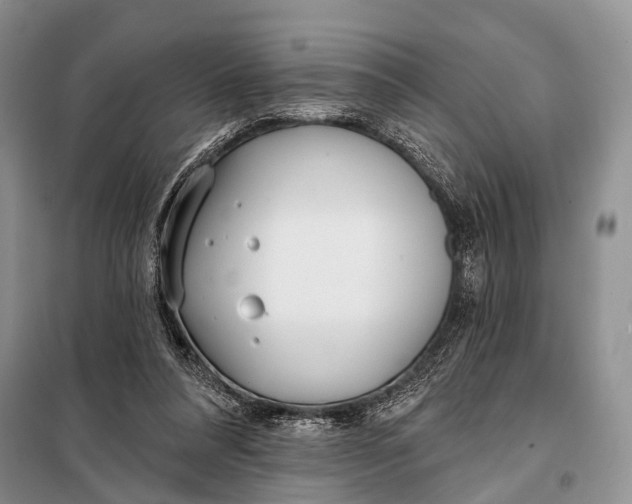 X0000098050304200804181331