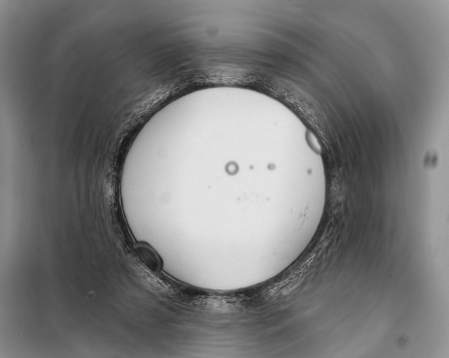 X0000098050305200804181331