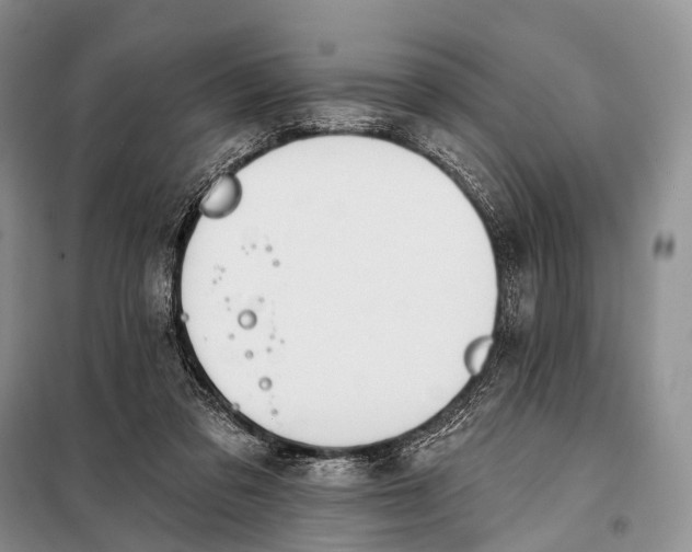 X0000098050309200804181330