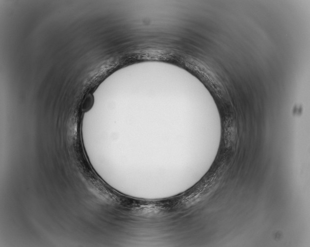 X0000098050310200804181330