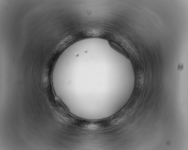 X0000098050312200804181330