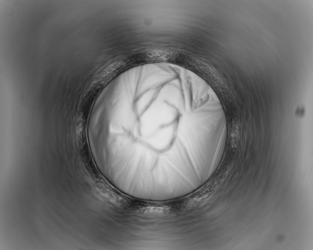 X0000098050314200804181330