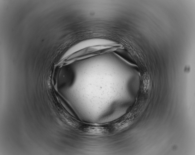 X0000098050316200804181330