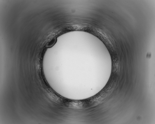 X0000098050317200804181330