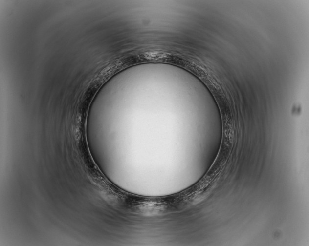 X0000098050319200804181330