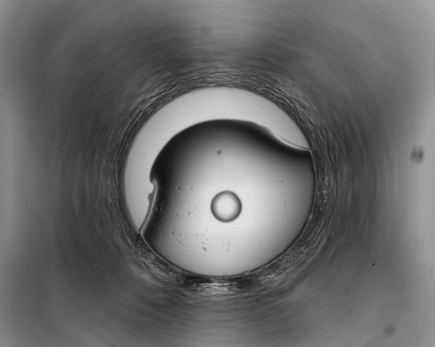 X0000098050320200804181330