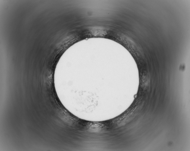 X0000098050321200804181330