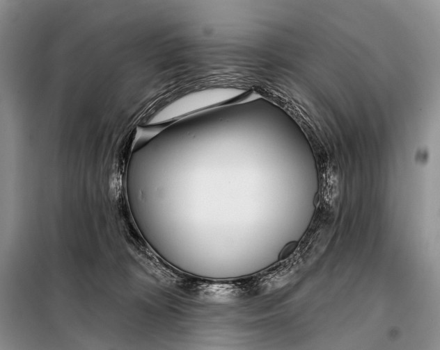 X0000098050324200804181330