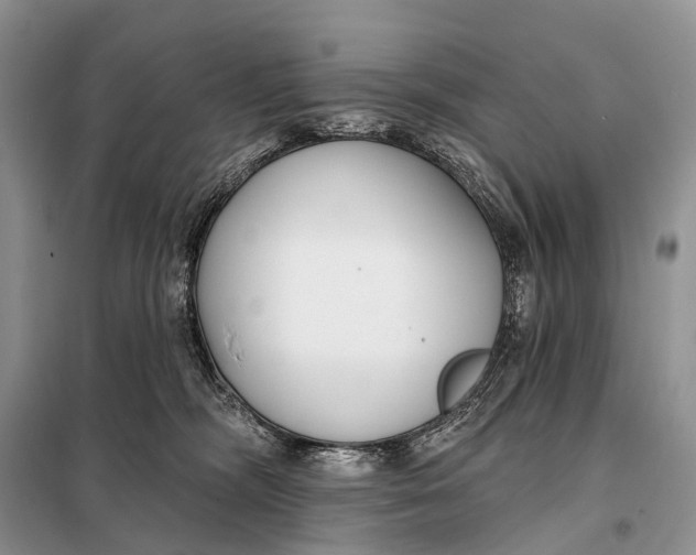 X0000098050326200804181330