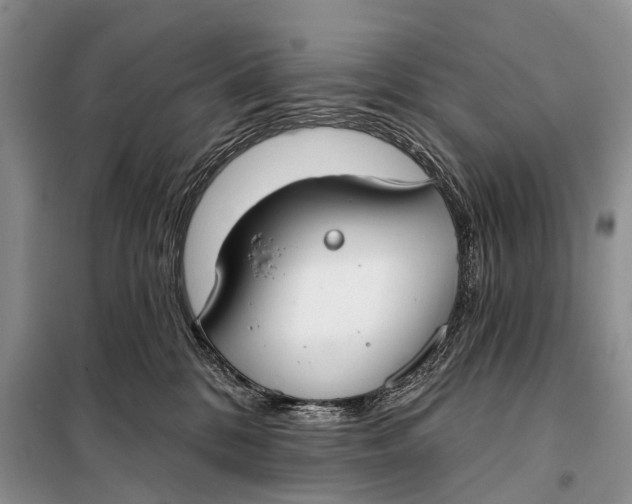 X0000098050328200804181330