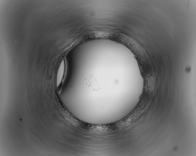 X0000098050329200804181330