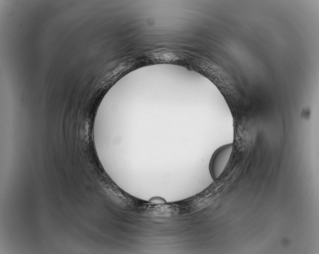 X0000098050330200804181330