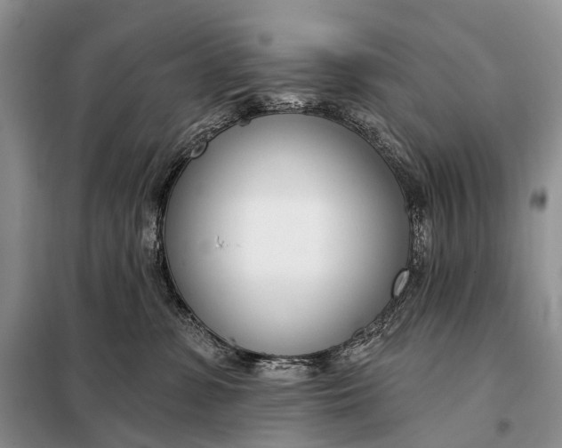 X0000098050331200804181330